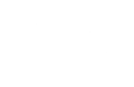 Logo Thomas Bandini srl